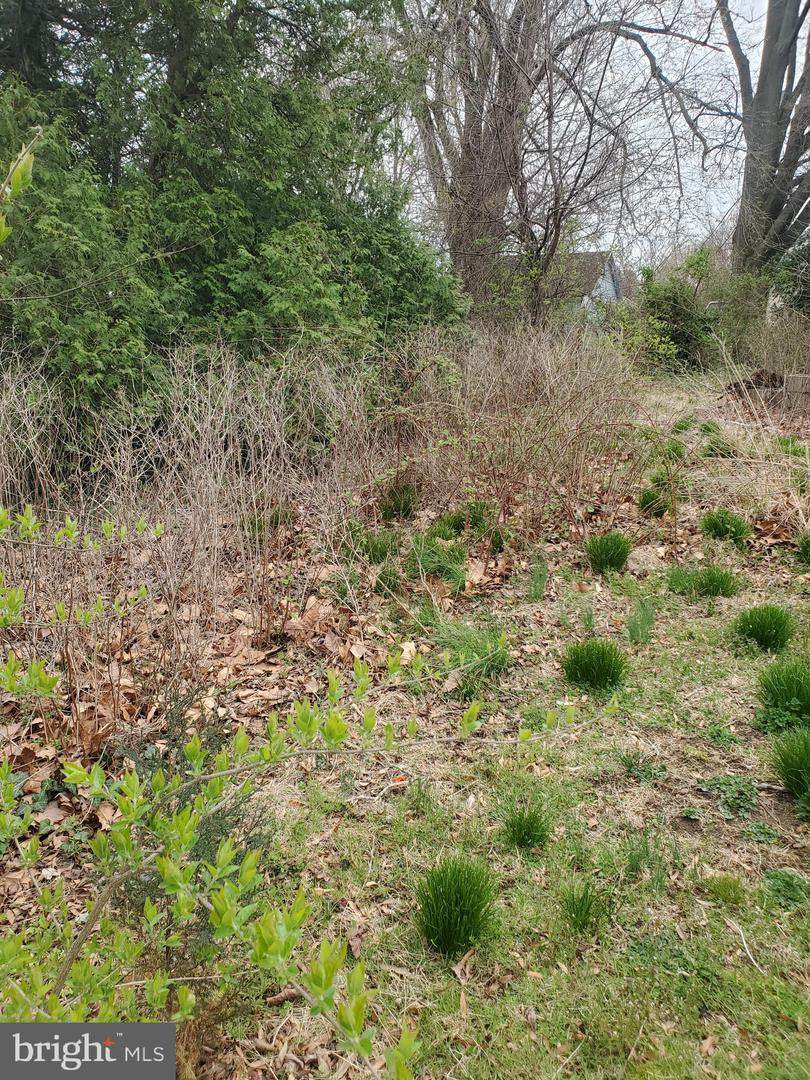 13 Hillside Road - Photo 1