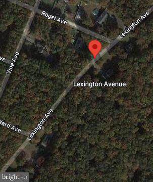 Lexington Avenue - Photo 1