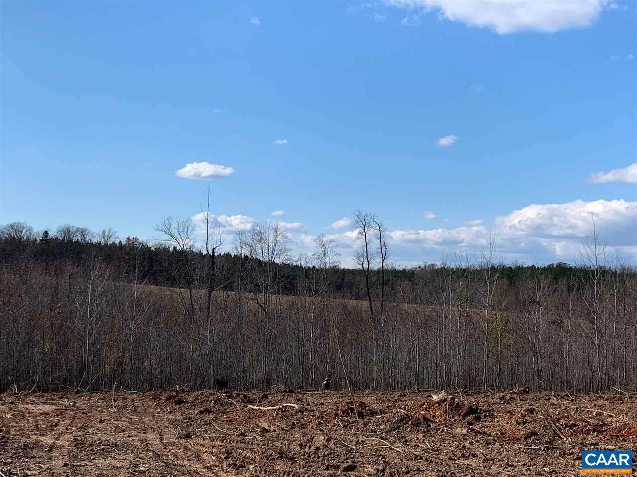 0 Branch Dr - Photo 1
