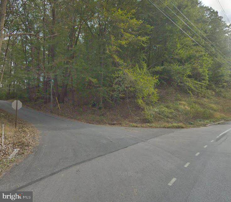294 Old Racetrack Road - Photo 1