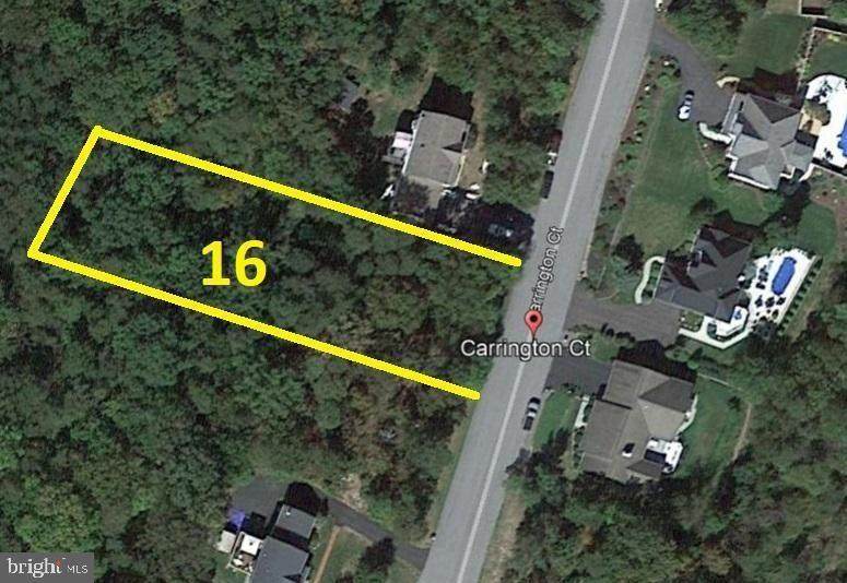 10007 Carrington Court - Photo 1