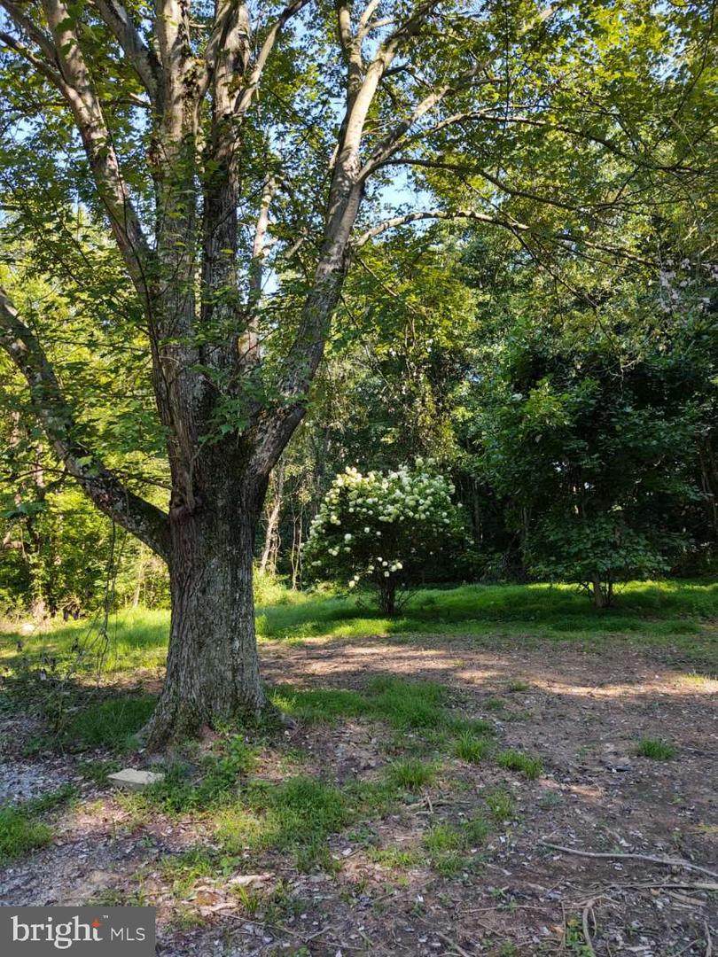 2103 Glen Cove Road - Photo 1