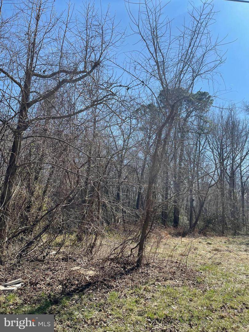 Lot 3 Powhatan Beach Road - Photo 1