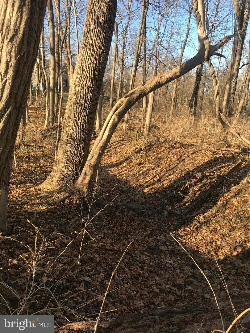 0 Upper Mountain Road - Photo 1