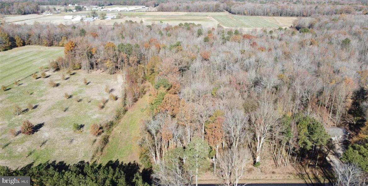 Shirleys Rd - Photo 1