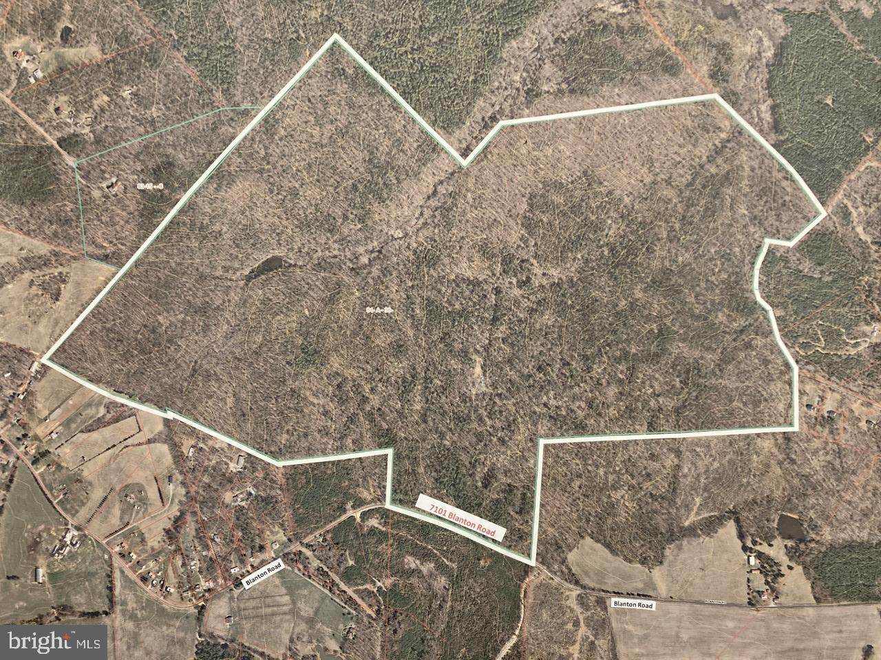 7101 Blanton Road - Photo 1