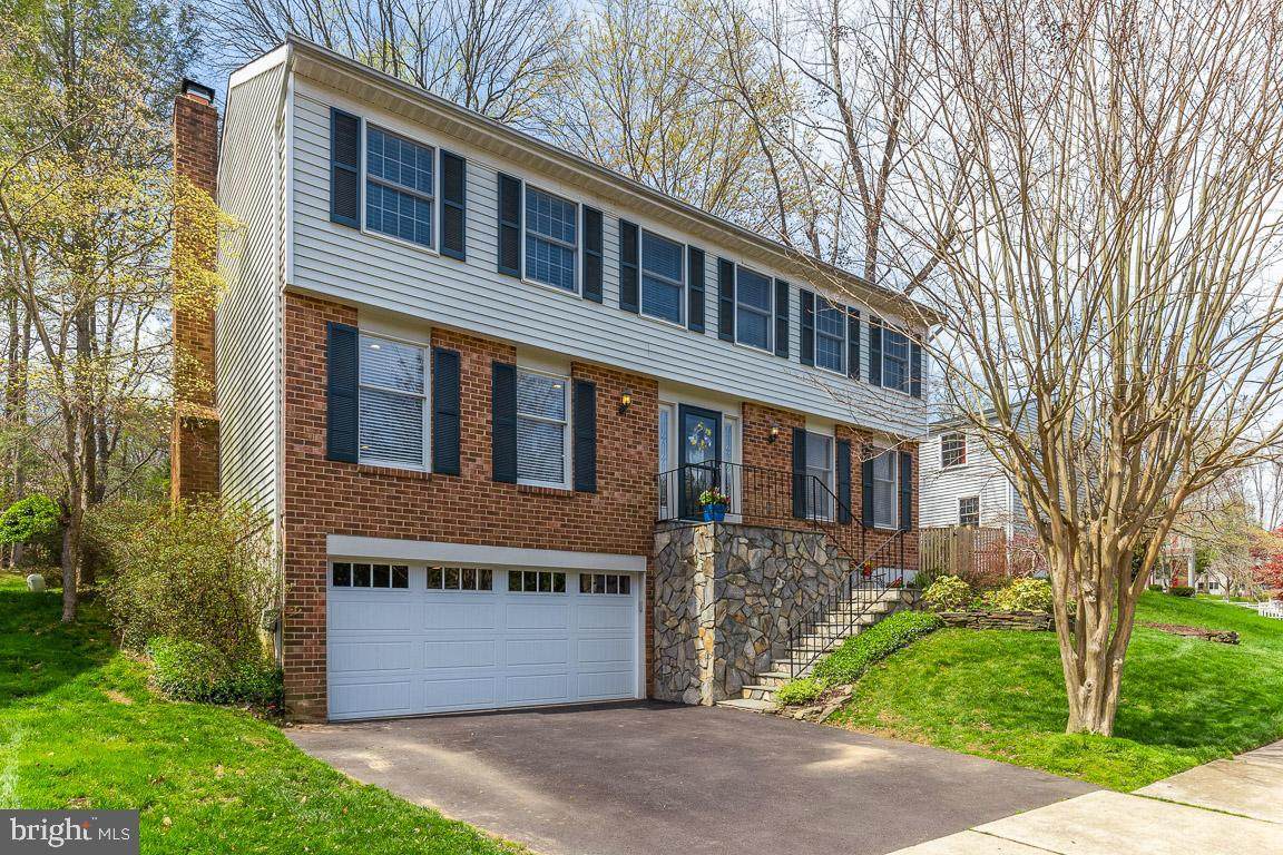 5602 Snowy Owl Drive - Photo 1