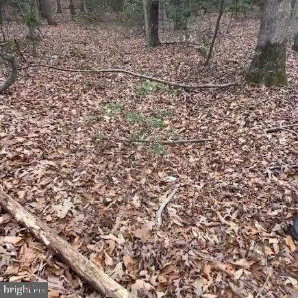 16661 Bald Eagle School Rd - Photo 1