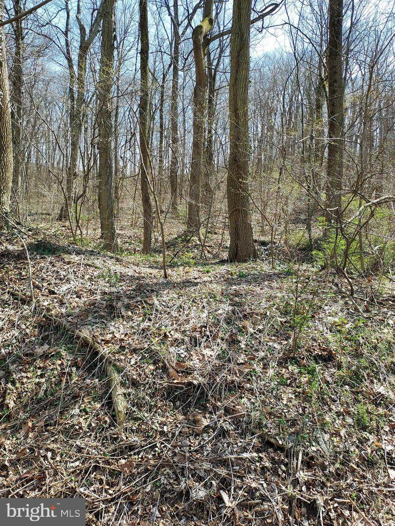 0 Bridge Valley Road - Photo 1