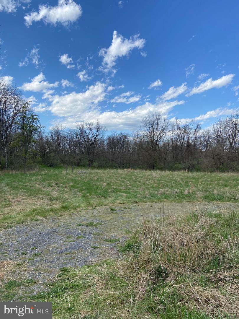 560 Honey Lane - Photo 1