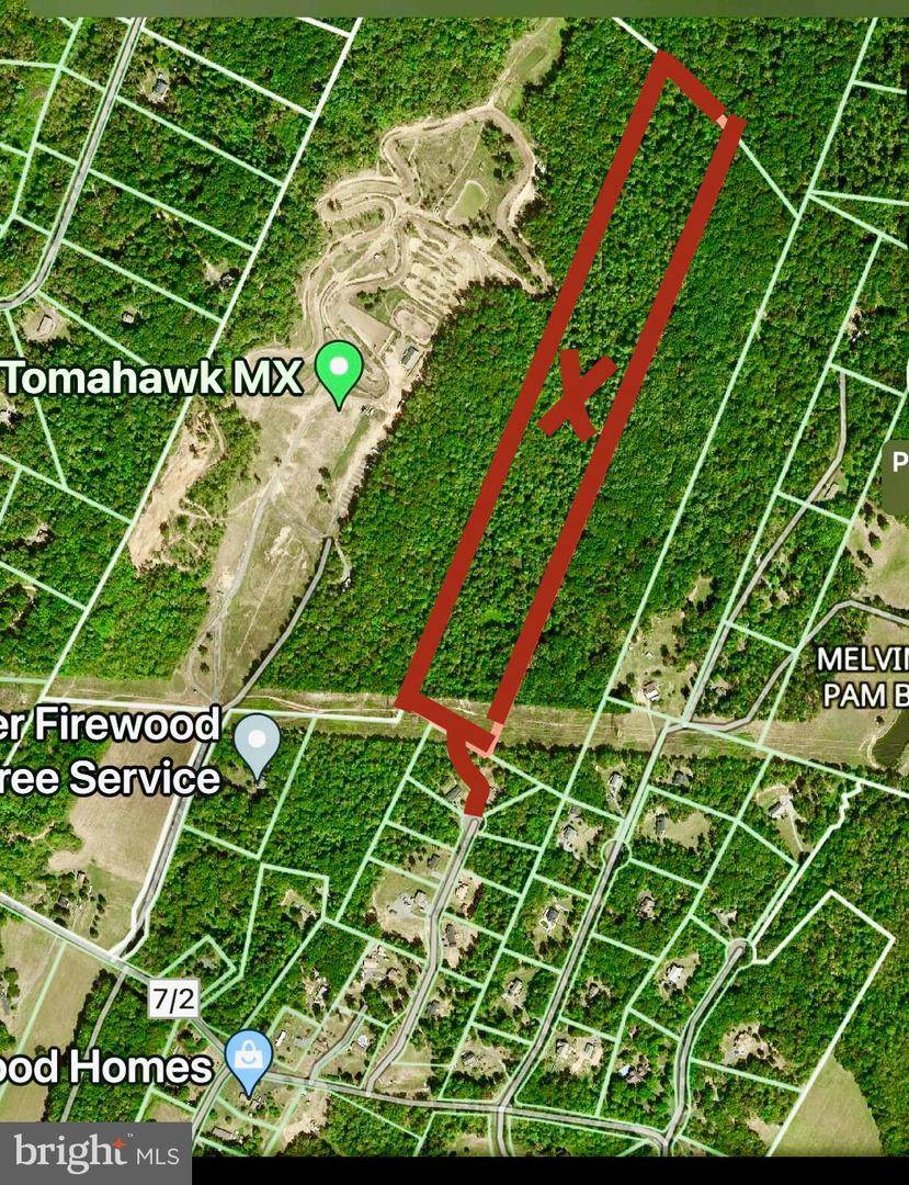 28.5 ACRES -OFF TOMAHAWK RUN RD - Photo 1