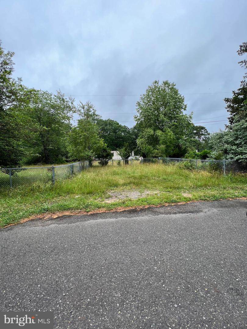 145 Walnut Lane - Photo 1