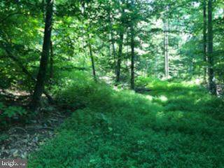 0 Fancy Hill Road - Photo 1