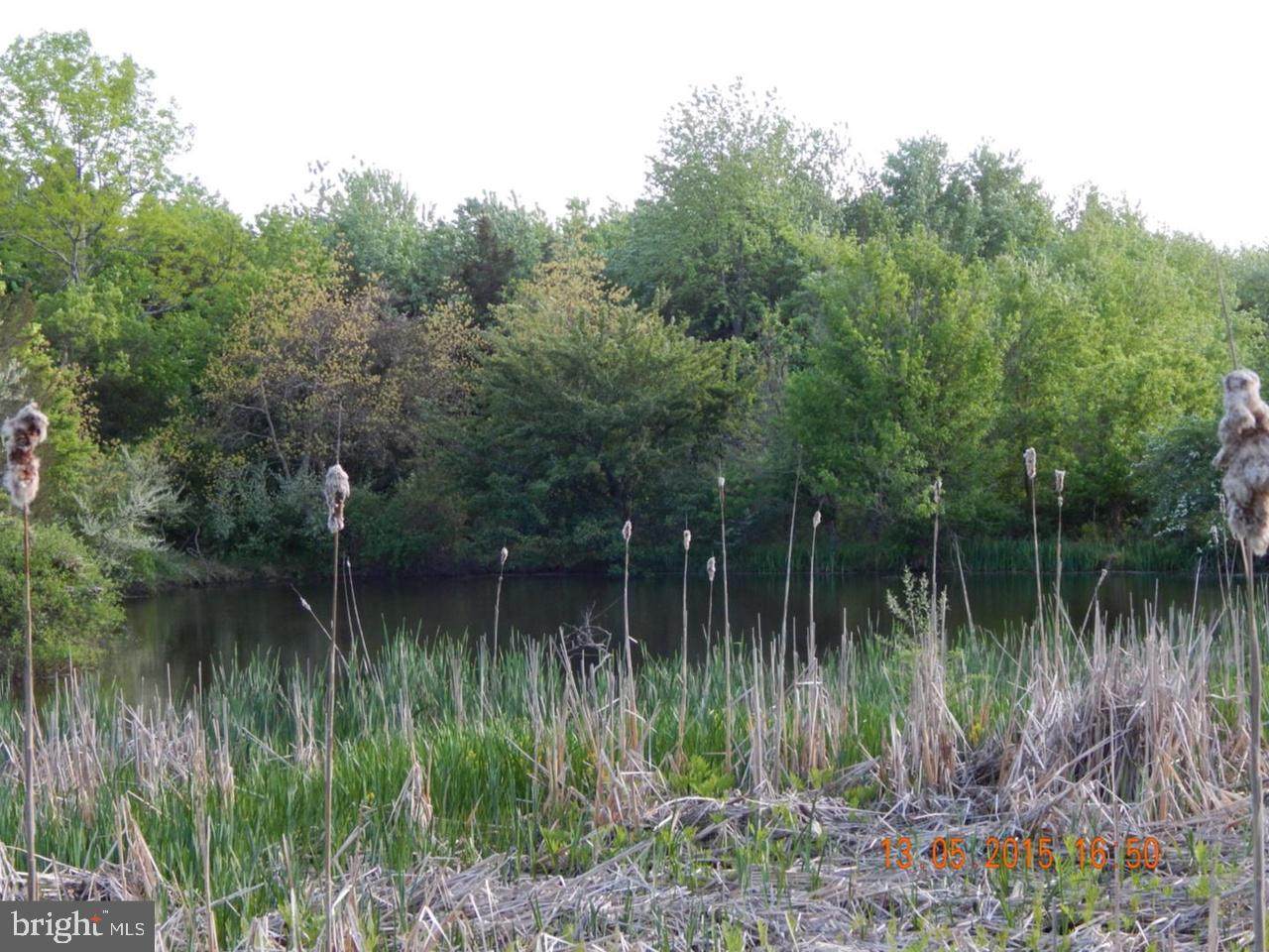 00 Dark Hollow Road - Photo 1