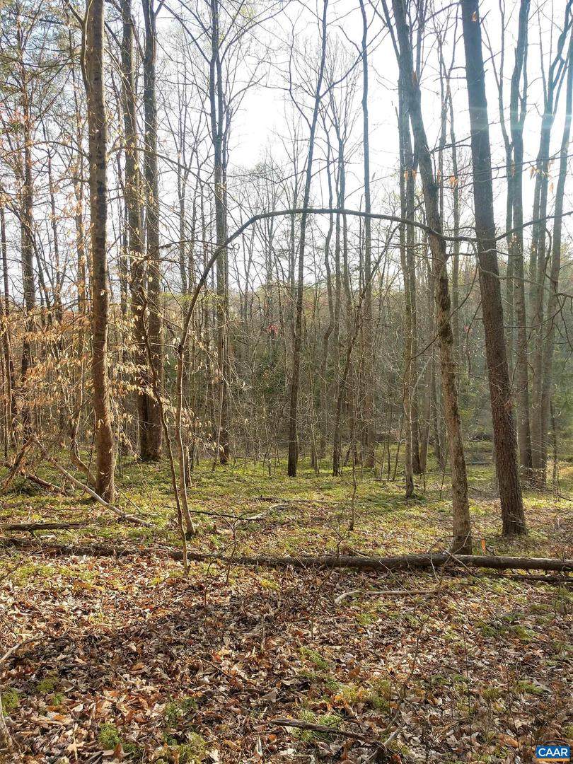 Lot 7 Montvue Ln - Photo 1
