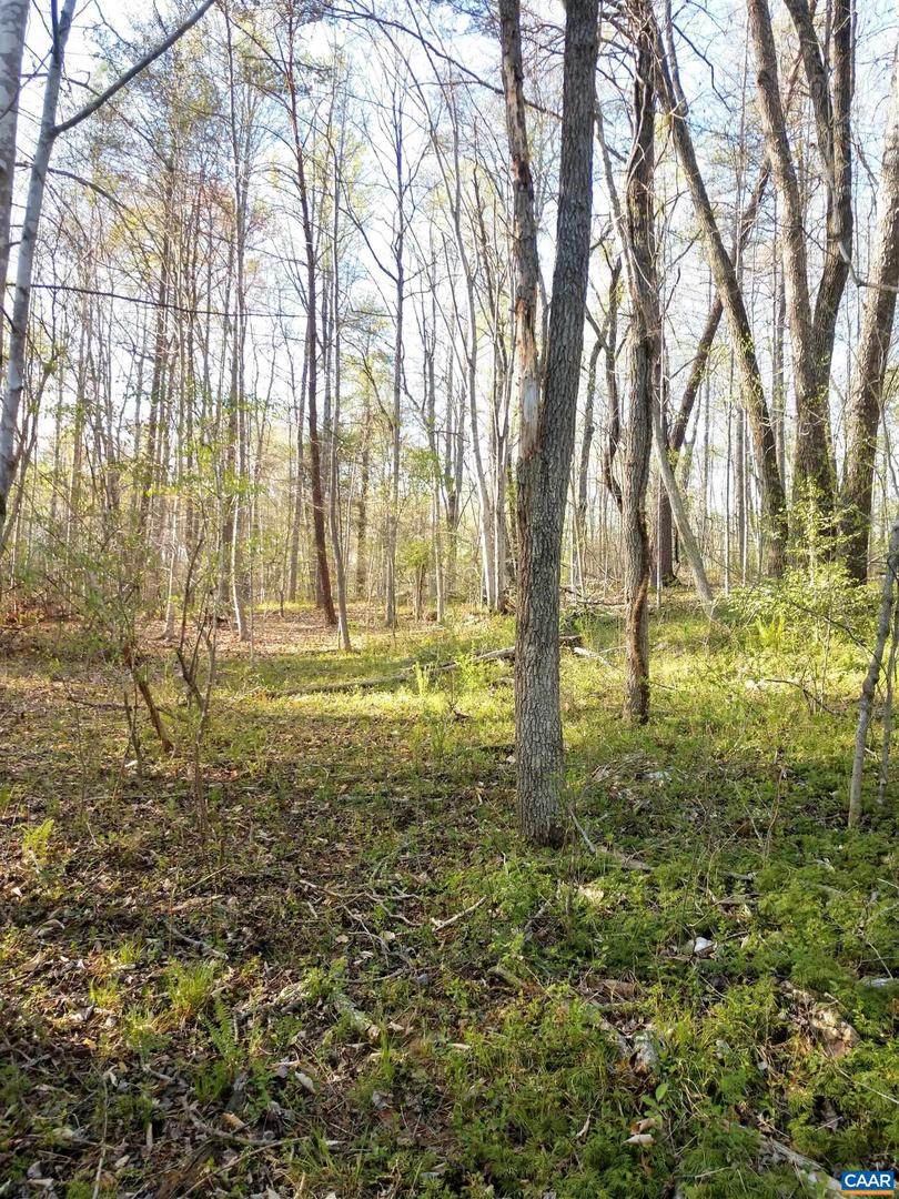 Lot 9 Montvue Ln - Photo 1