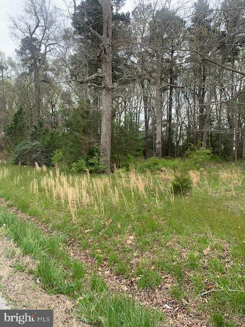 Federalsburg Highway - Photo 1