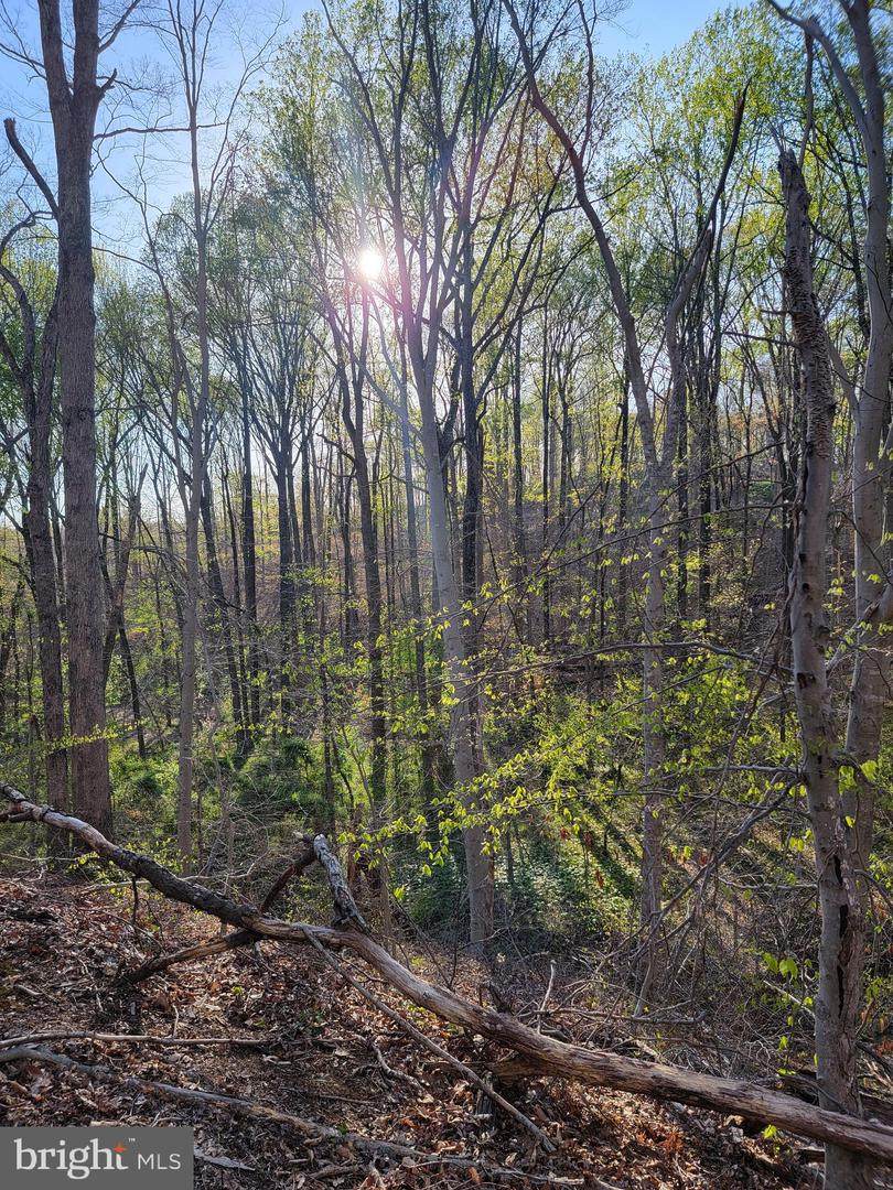 Truslow Road - Photo 1