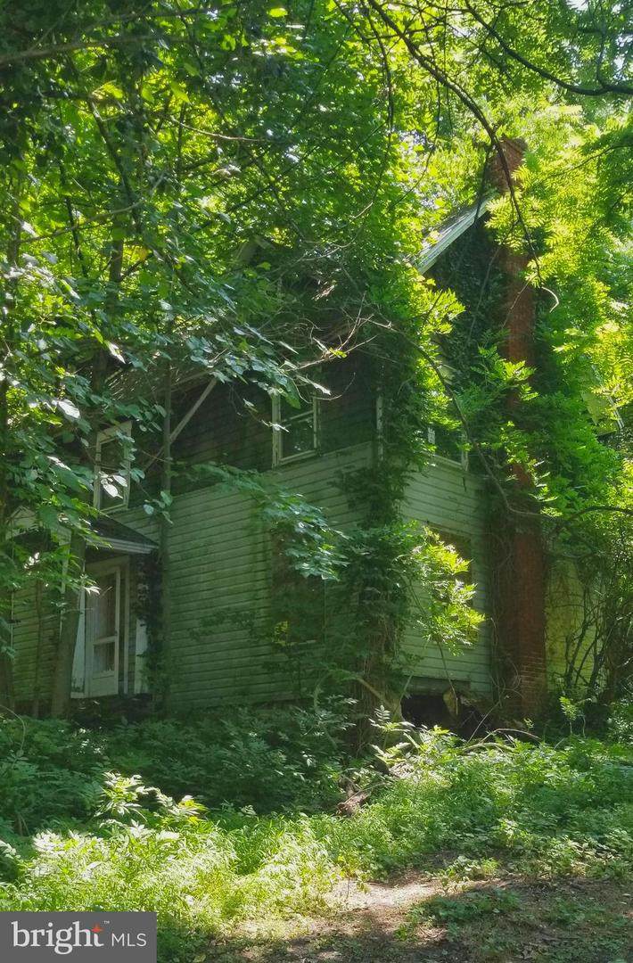 13335 Edgemont Road - Photo 1