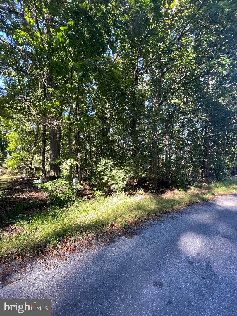 5887 Woods Road - Photo 1