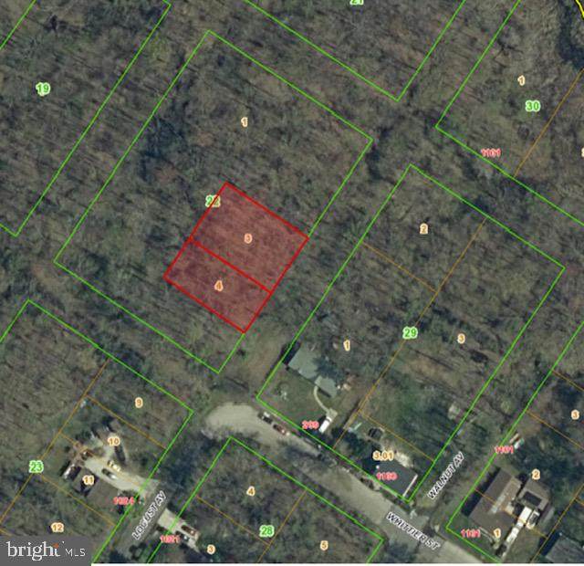 0 Locust Avenue - Photo 1