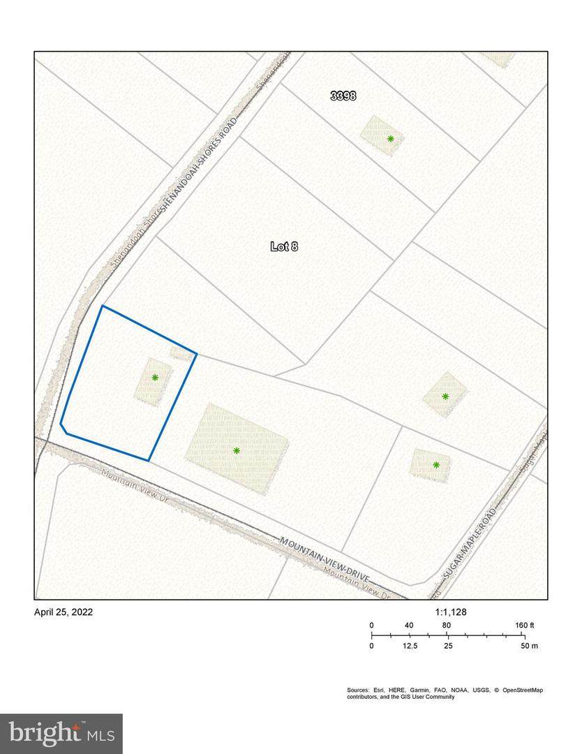 Lot 8 Shenandoah Shores Road - Photo 1
