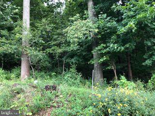 0 Old Waynesboro Road - Photo 1