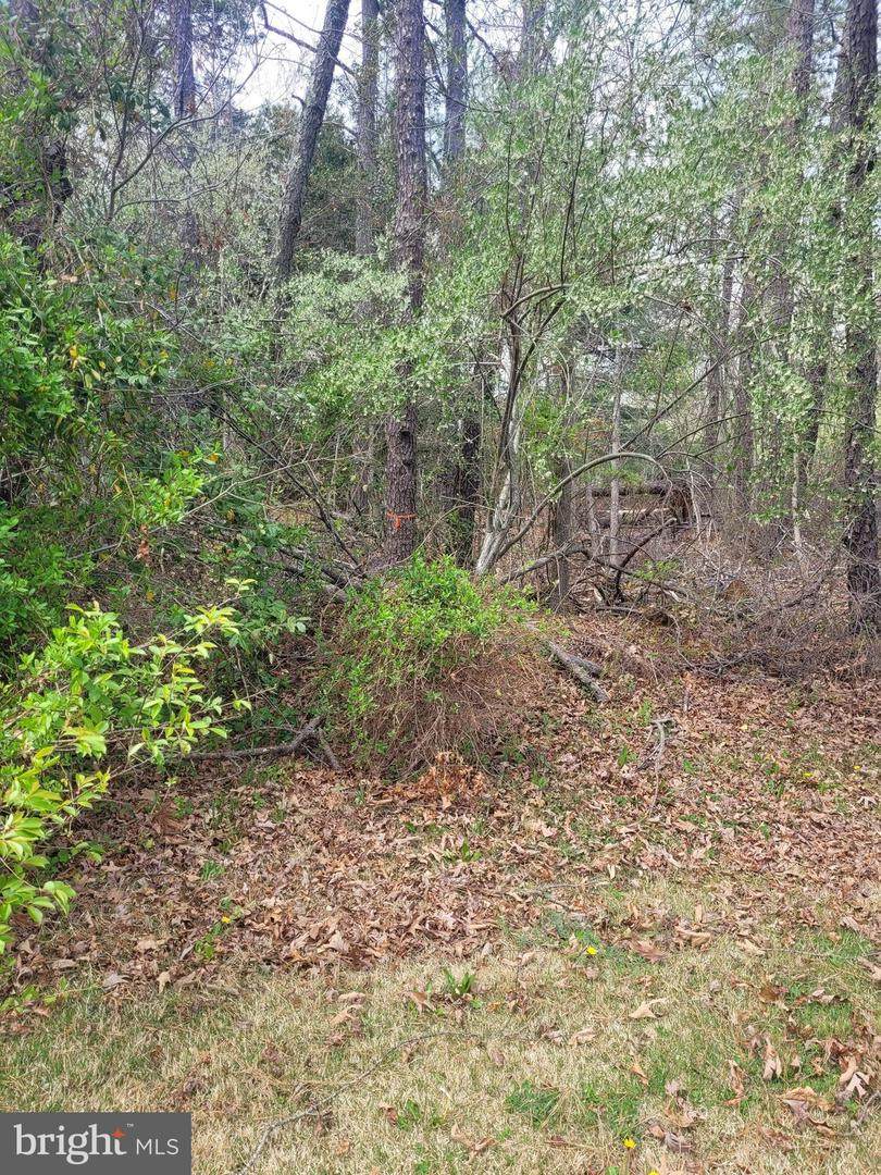 4291 Jersey Avenue - Photo 1