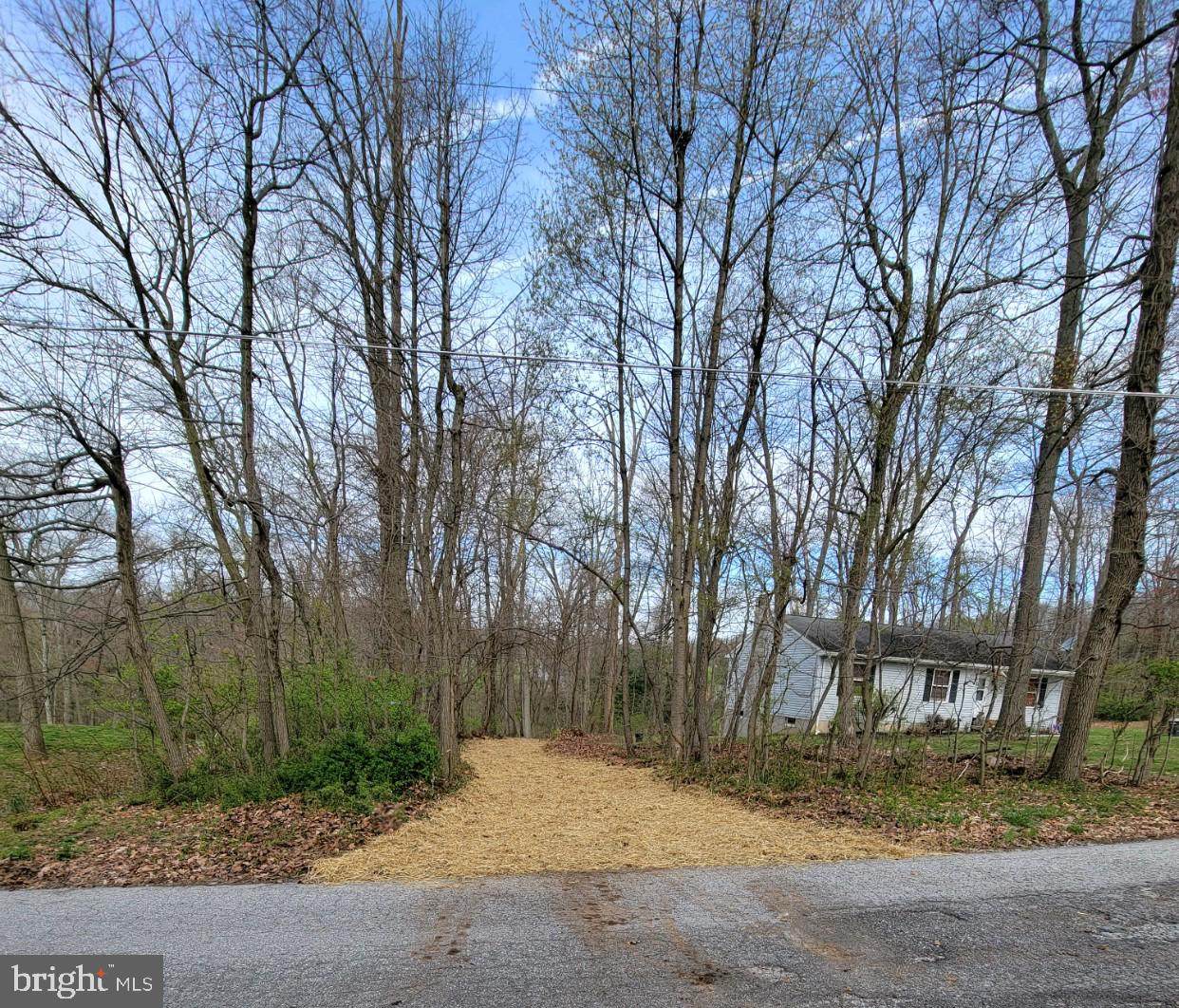 Lot 68 Maddox Road - Photo 1