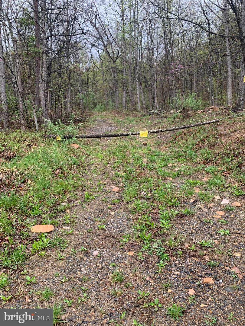 0 Rattlesnake Lane - Photo 1