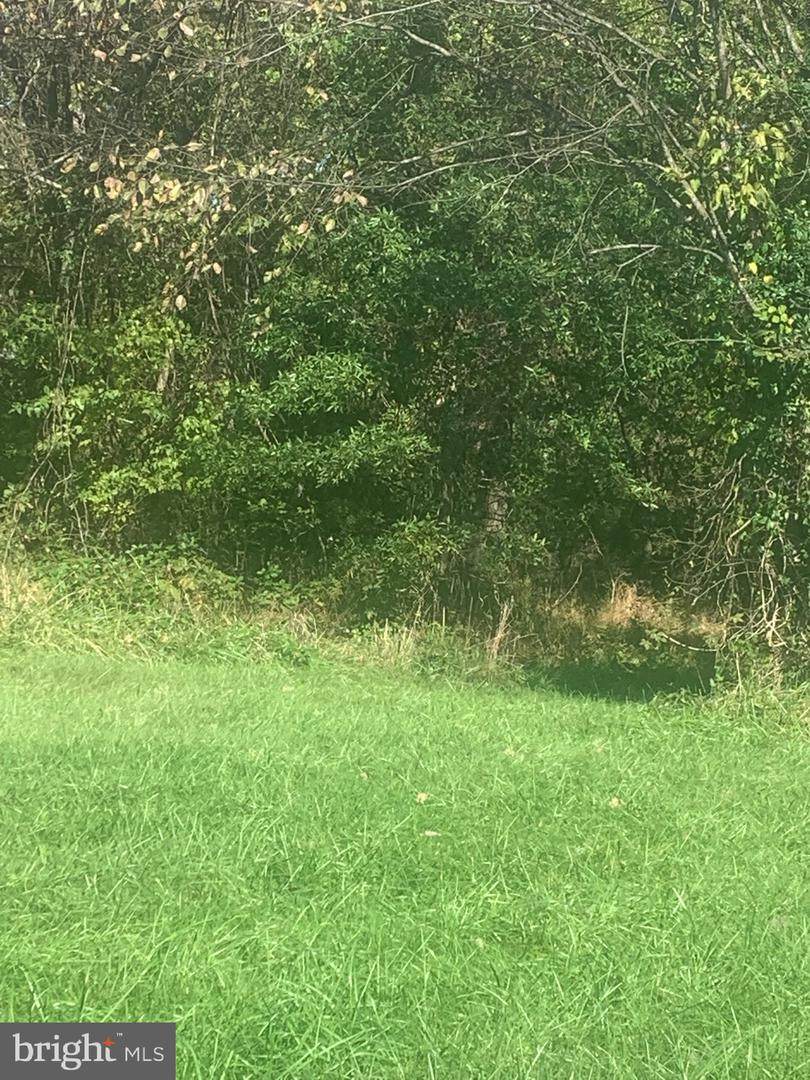 0 Gravel Hill Rd - Photo 1