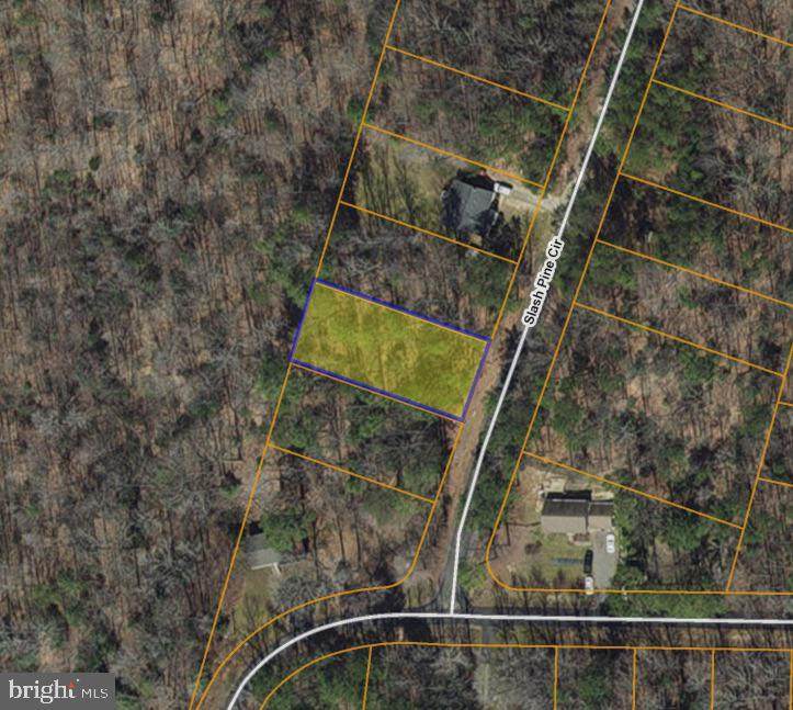 LOT 1075 Slash Pine Circle - Photo 1