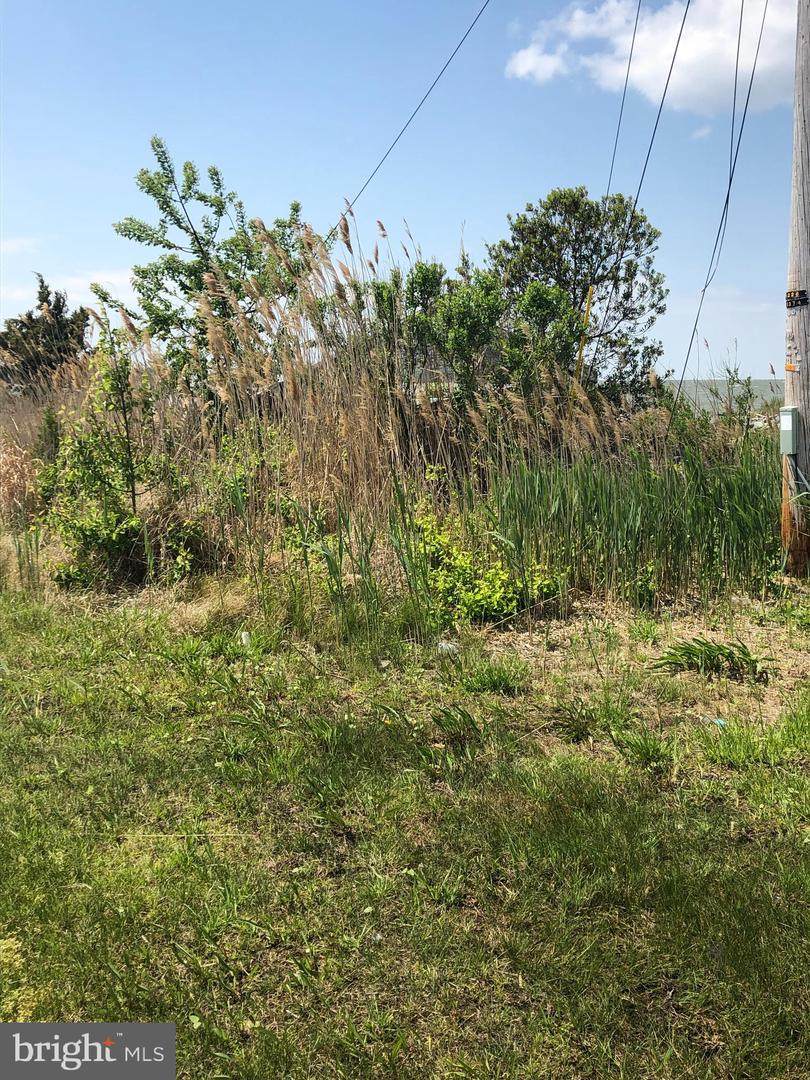 25720 Rumbley Road - Photo 1