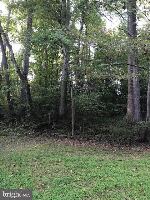 8605 Blossom Point Road - Photo 1