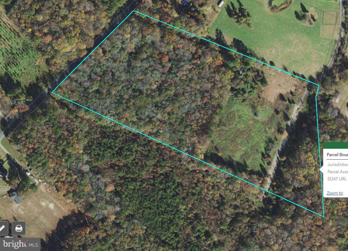 26821 Siloam Road - Photo 1