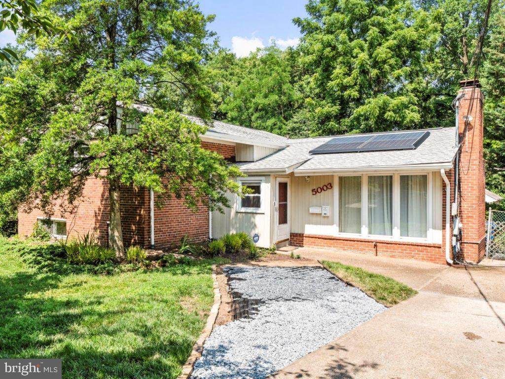 5003 Elsmere Avenue - Photo 1