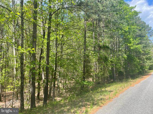 2404 Horseshoe Bend Drive - Photo 1