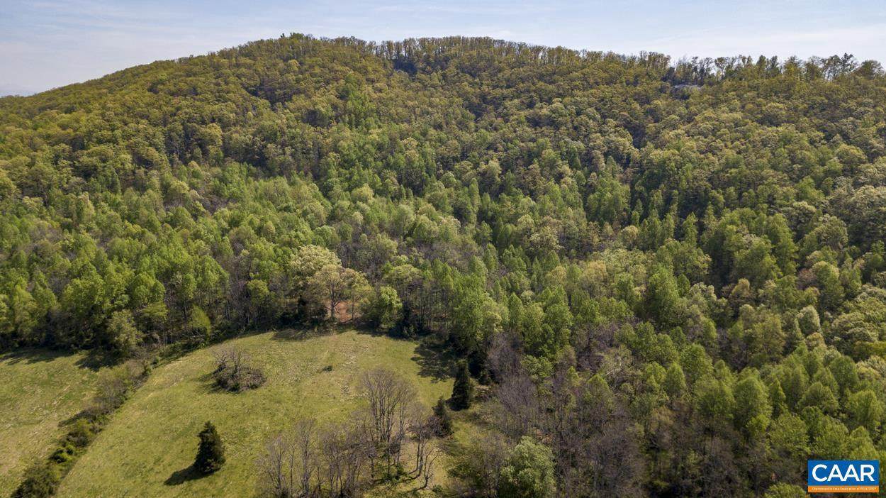 3874 Thomas Dairy Ln - Photo 1