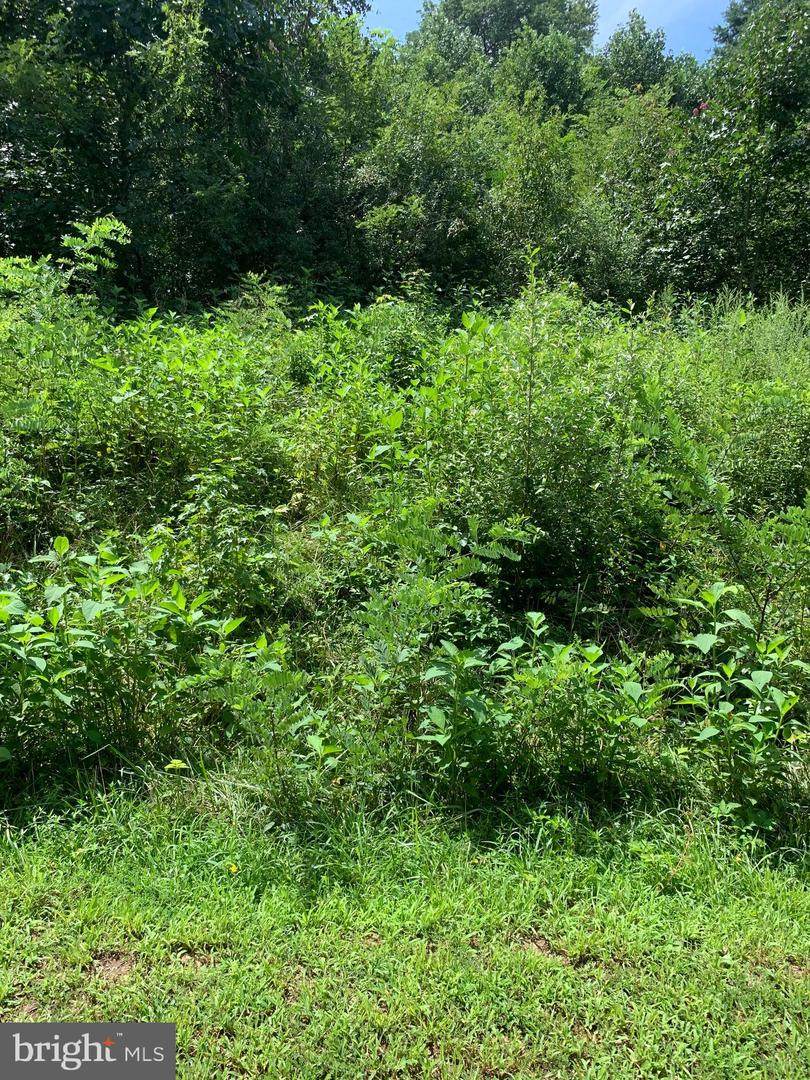 Lot 58 American Drive - Photo 1