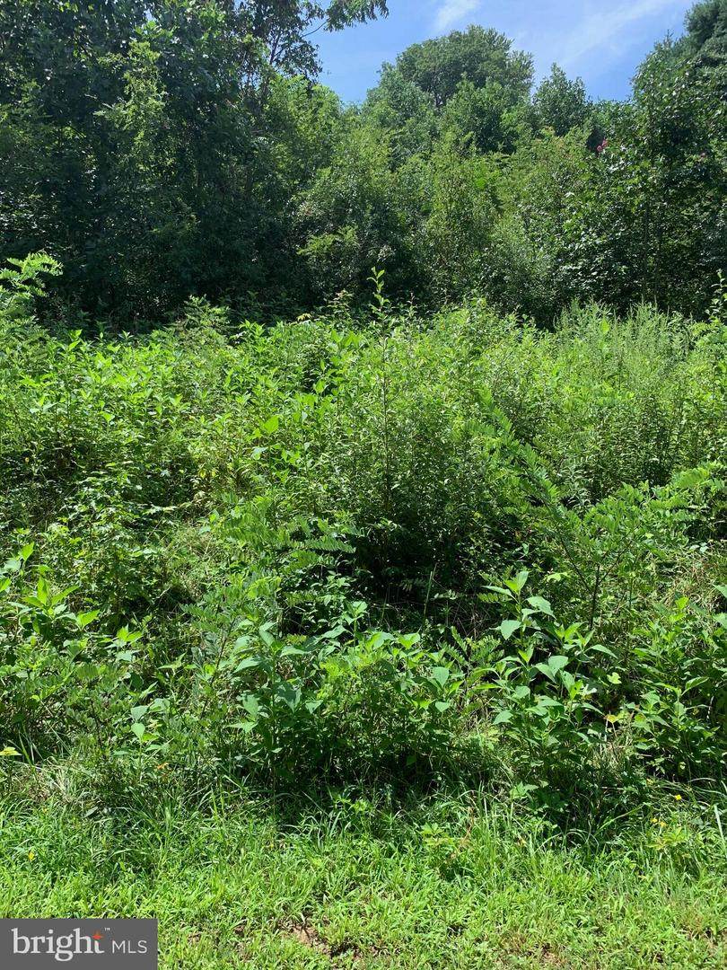 LOT 59 American Drive - Photo 1