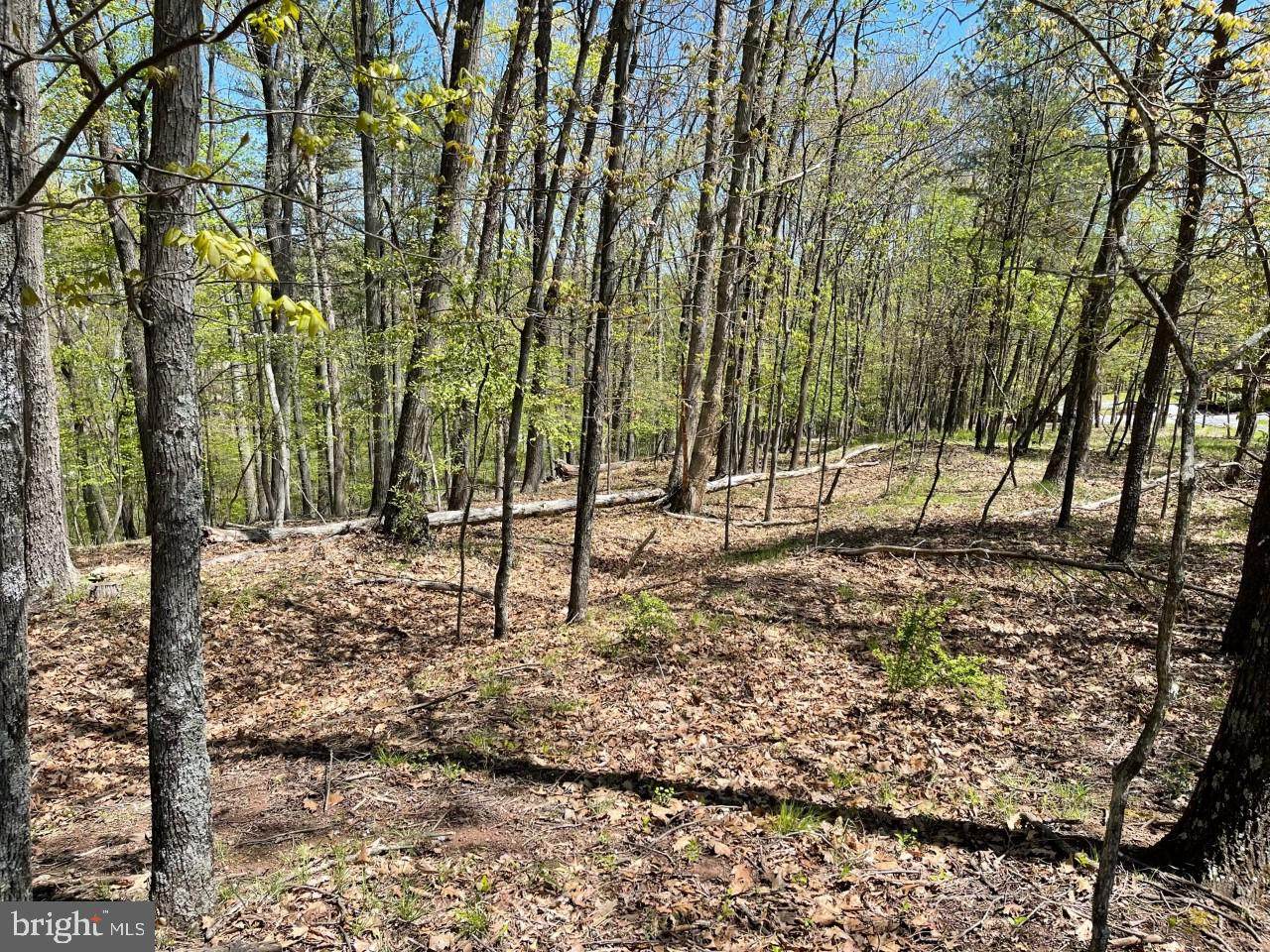 Lot 20 Key Pine Lane - Photo 1