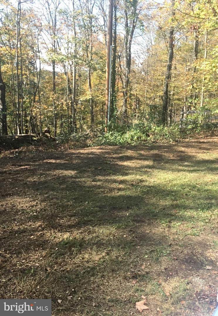 12 Tiger Trail - Photo 1
