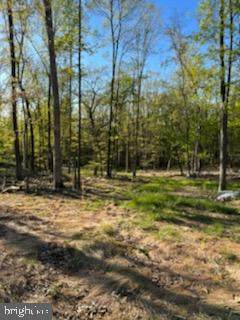 Magnolia Road - Photo 1