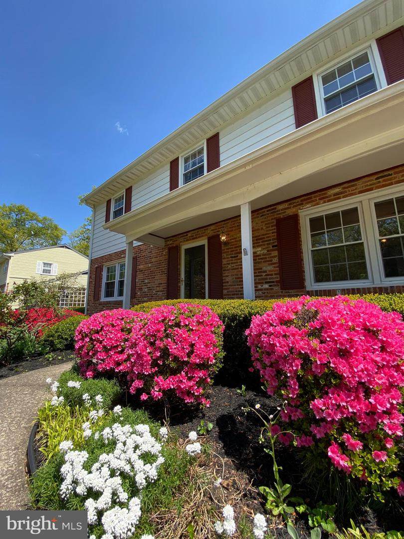 6647 Park Hall Drive - Photo 1