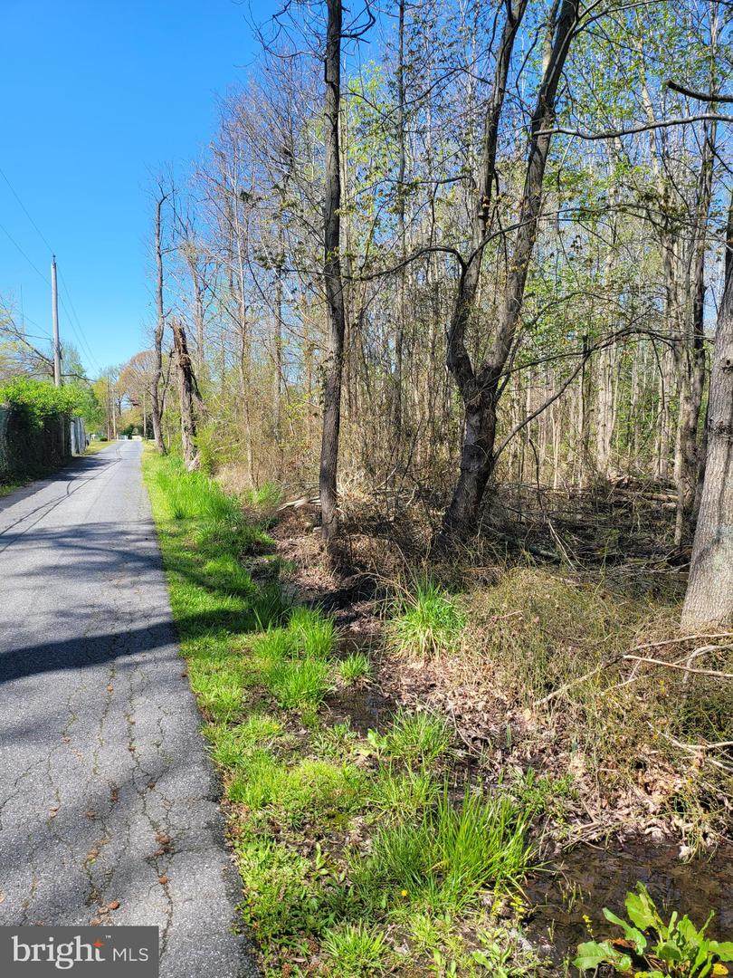 Central Avenue - Photo 1