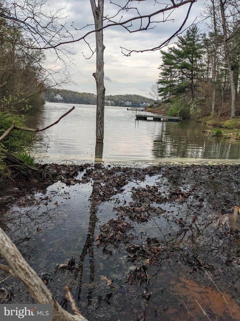 Lot 28 Forest - Photo 1
