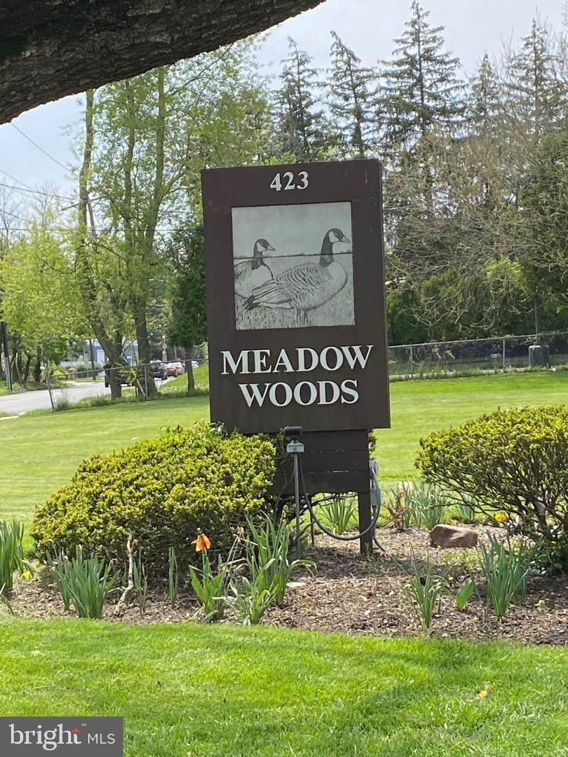 423 Meadow Woods Lane - Photo 1
