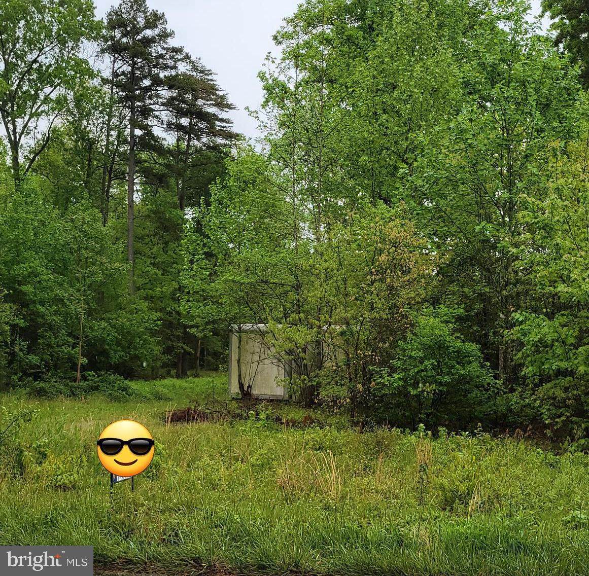 5857 Partlow Road - Photo 1