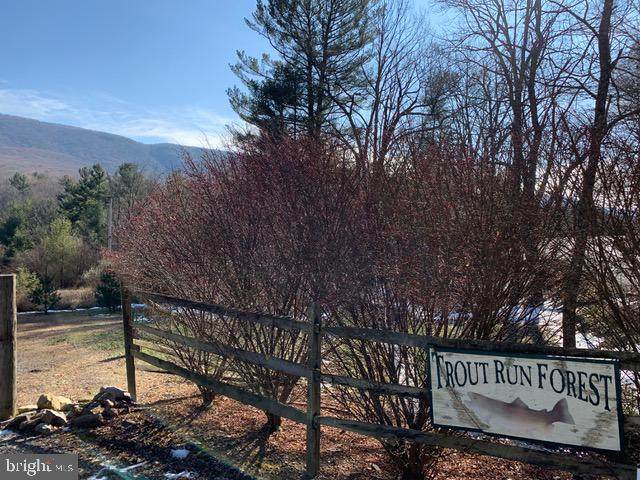 15 Brooke Trout Dr - Photo 1