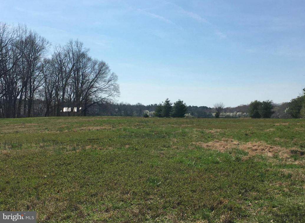 28850 Jennings Road - Photo 1